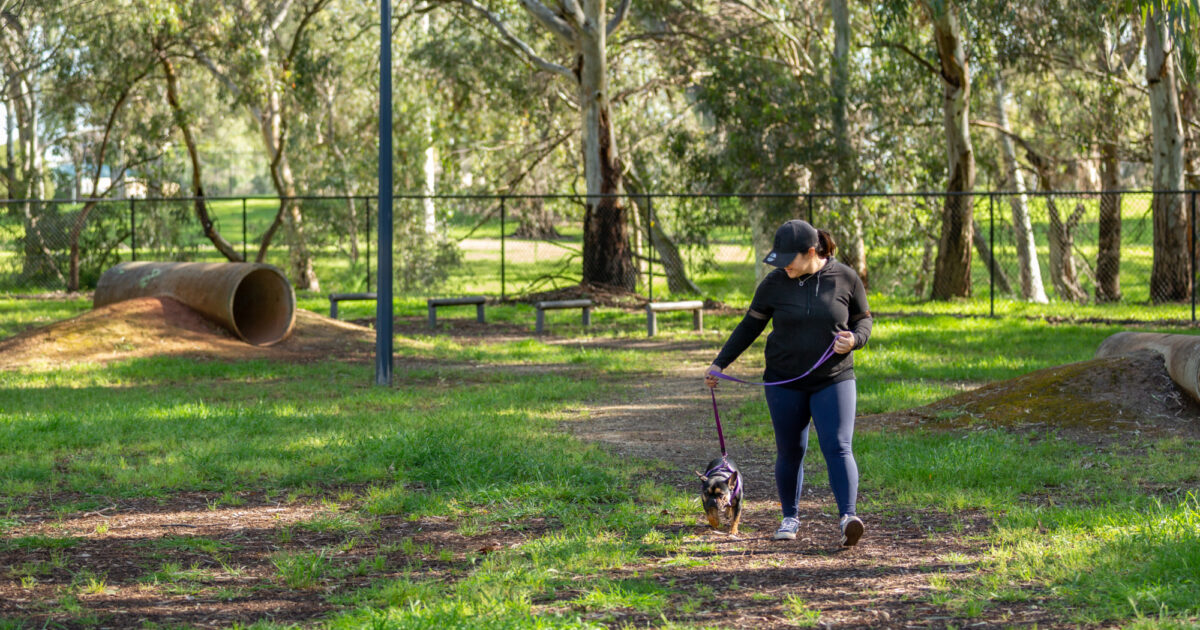 Dogs s orders a walk