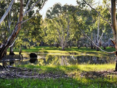 Kaurna Park Wetlands • City of Salisbury